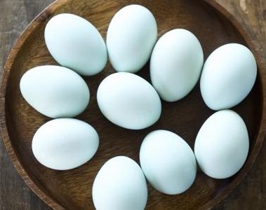 アローカナのたまご