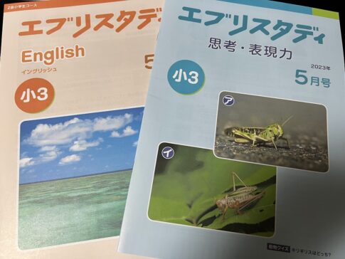 エブリスタディ イングリッシュと思考・表現力