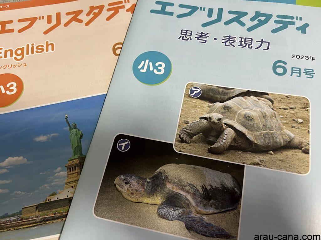 エブリスタディ イングリッシュと思考・表現力