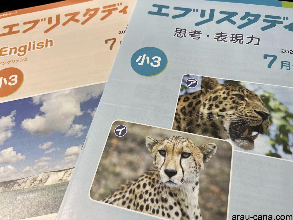 エブリスタディ イングリッシュと思考・表現力