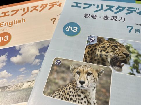 エブリスタディ イングリッシュと思考・表現力