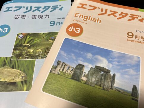 エブリスタディ イングリッシュと思考・表現力