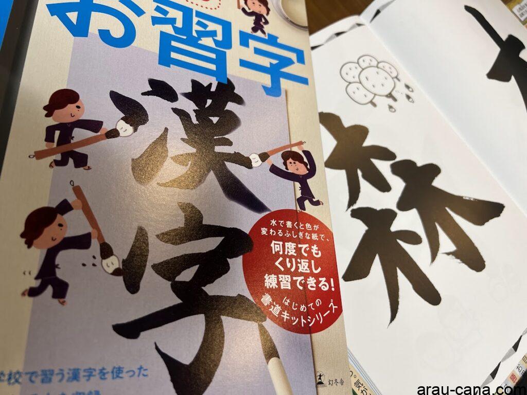 武田双雲の水で書けるお習字