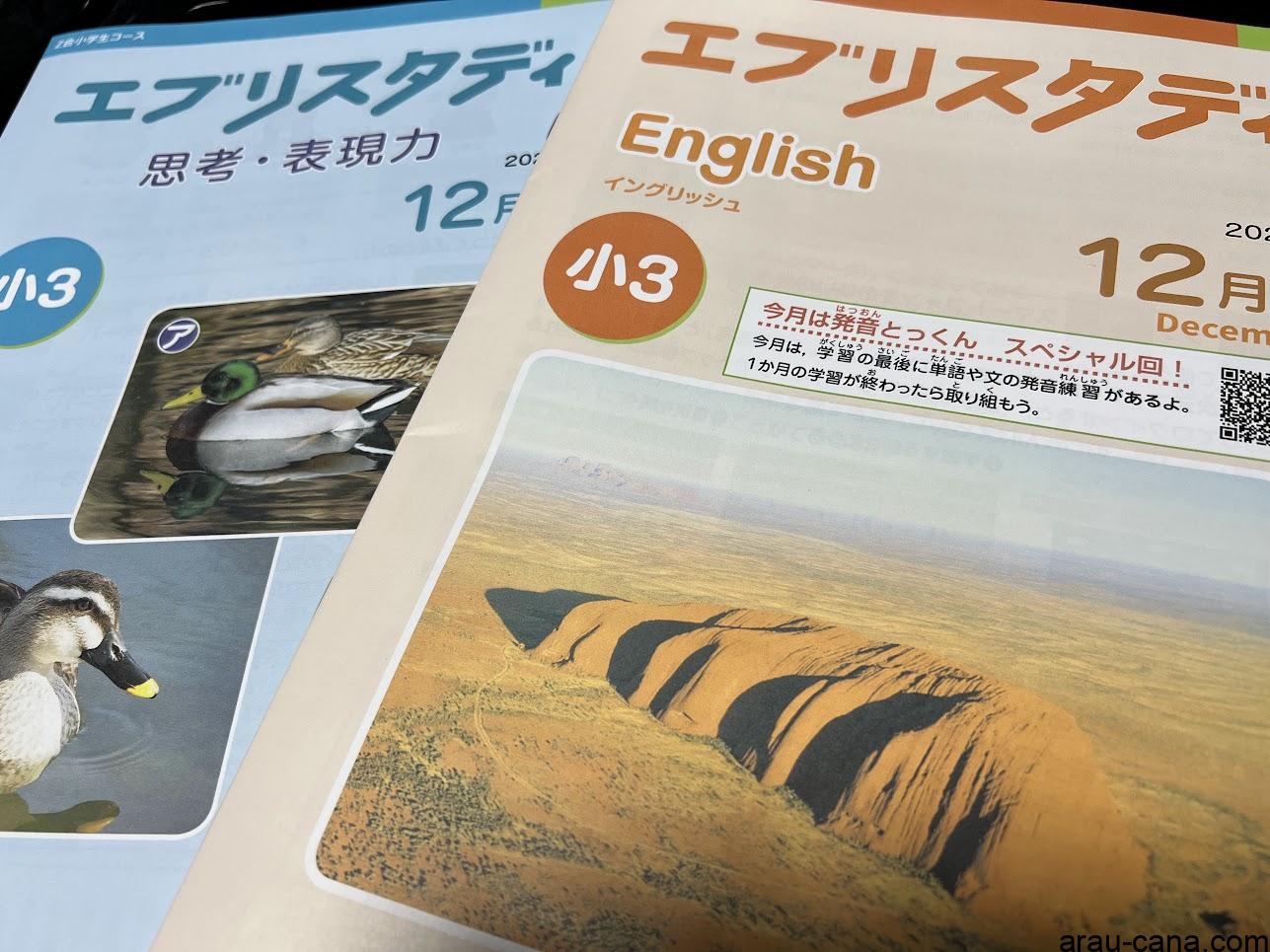 Z会小学生コース3年生専科12月号テキスト - こんなこともアローカナ